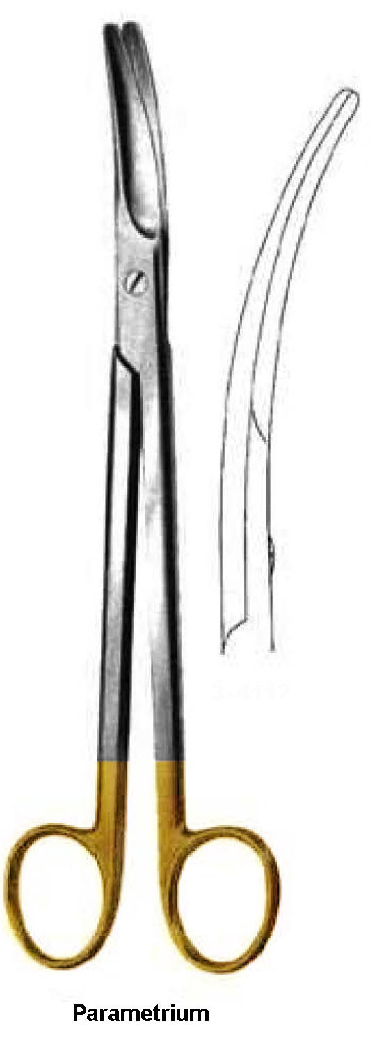 PARAMETRIUM MAKAS EĞRİ 23CM